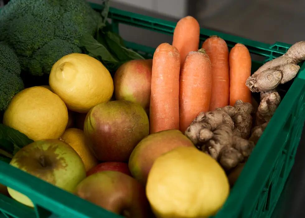 Dog food ingredients